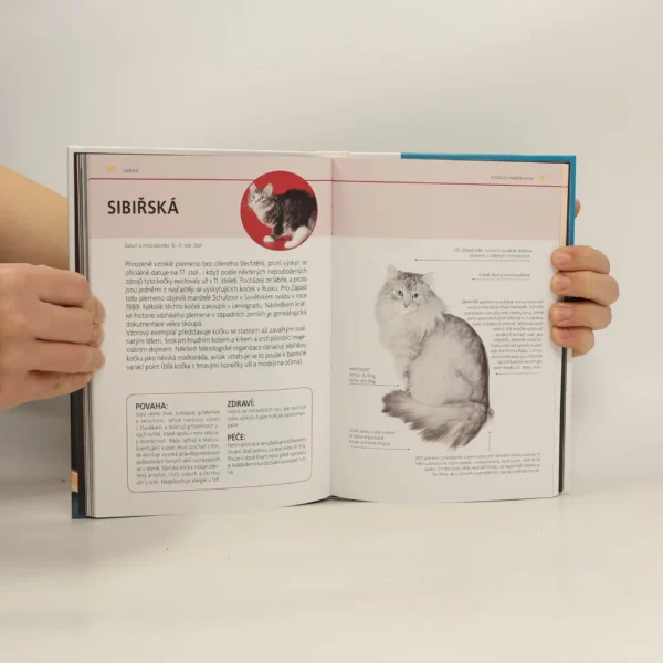 Atlas koček - Obrázek 4
