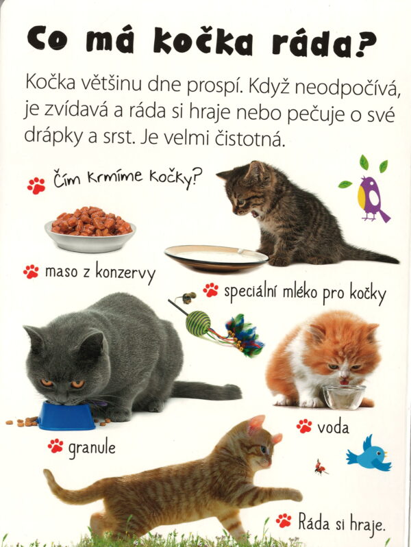 Kniha kočky - Pohlaď si zvířátko - Obrázek 4