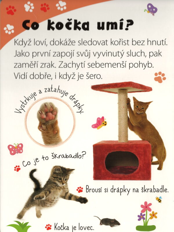 Kniha kočky - Pohlaď si zvířátko - Obrázek 3