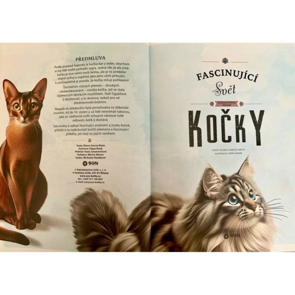 Fascinující svět elegantních šelem - KOČKY - Obrázek 3